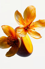 Carica l'immagine nel visualizzatore di Gallery, Champaca Headspace