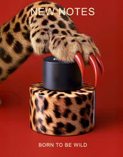 Carica l'immagine nel visualizzatore di Gallery, Felina New Notes