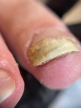 Carica l'immagine nel visualizzatore di Gallery, PRENOTAZIONE PEDICURE AVANZATO