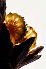 Carica l&#39;immagine nel visualizzatore di Gallery, Oud Headspace
